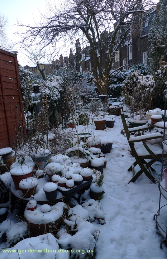 garden under snow