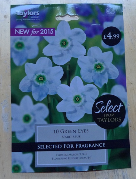 green eyes narcissus