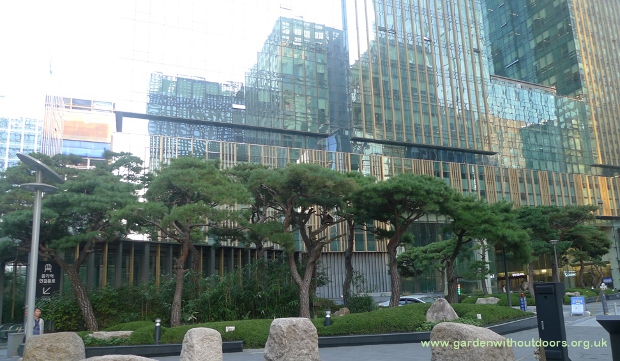 trees in front of buildings Seoul