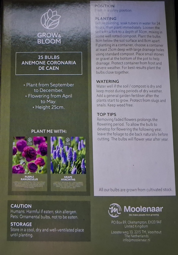 Sainsbury's Grow and Bloom Anemone de Caen back
