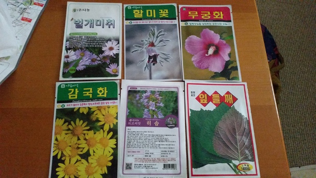 Korean seeds