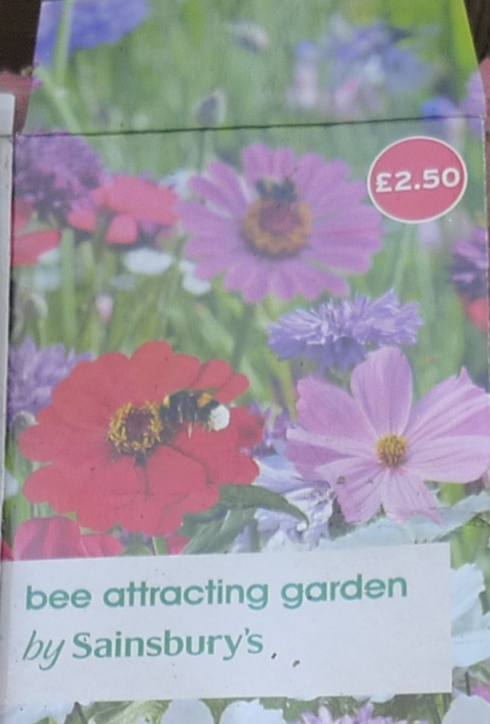 Sainsbury's bee garden
