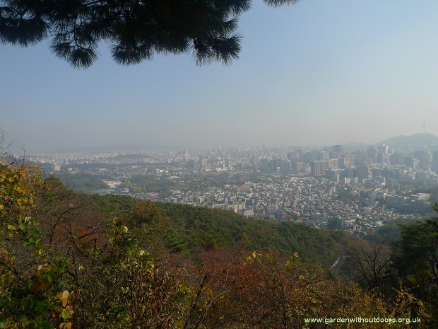 Seoul from Mt Inwangsan