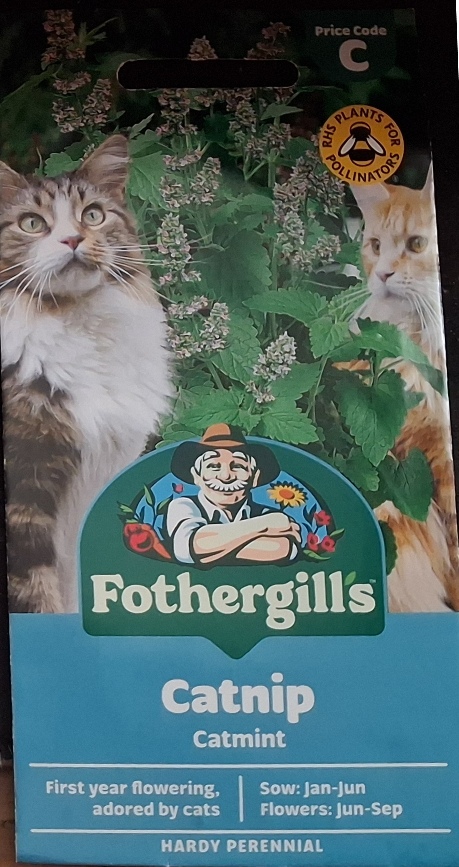 catnip seed packet