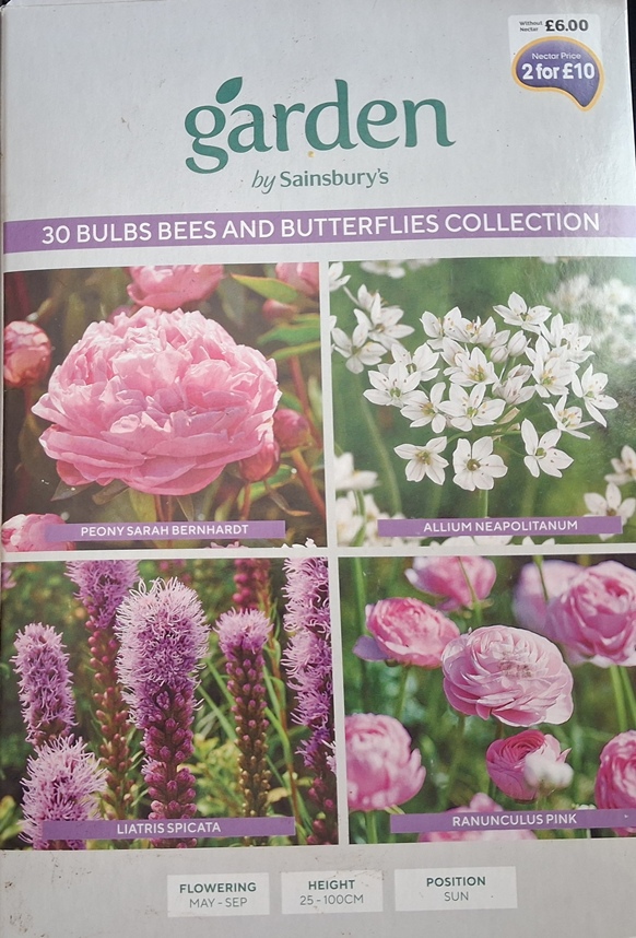 garden by sainsburys  30 bulbs bees and butterflies