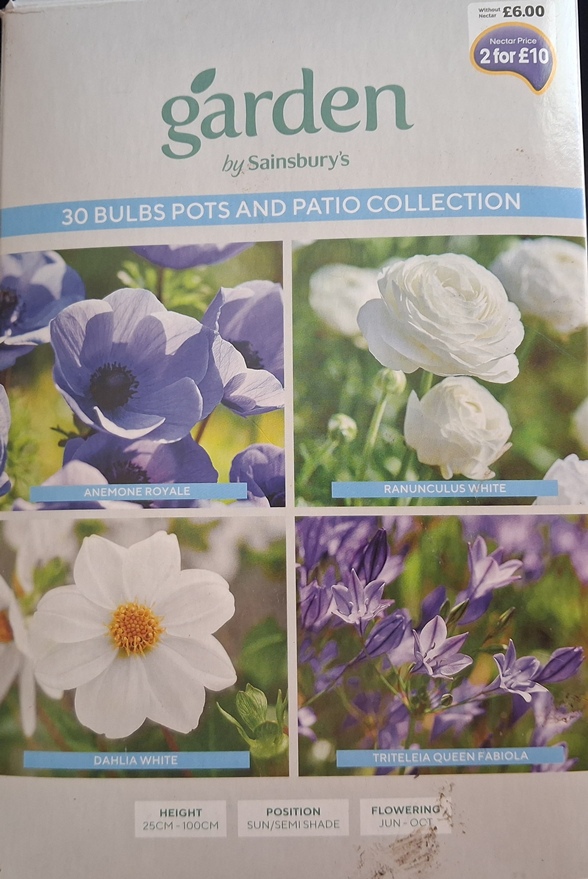 garden by sainsburys 30 bulbs pots  patio collection