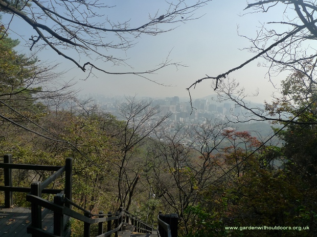 stairway up Mt Inwangsan