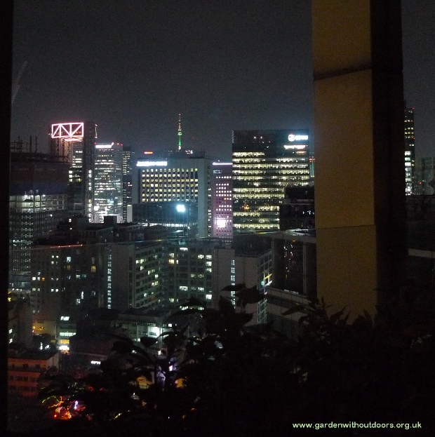 view of Seoul at night