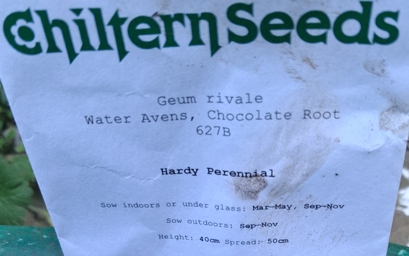water avens seed packet